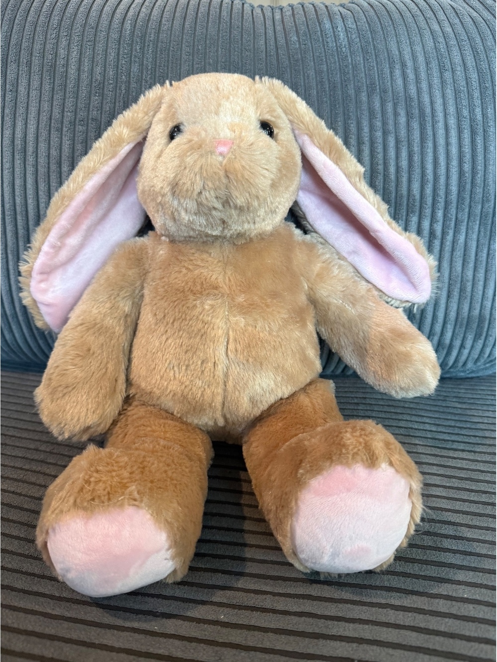 Build-A-Bear Workshop Plush Bunny Stuffed Animal